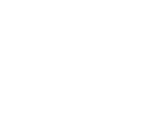 kochschneider_logo